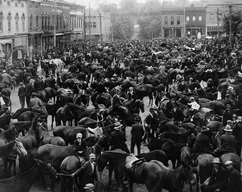 Horses and mules at Court Day on First Street in Richmond