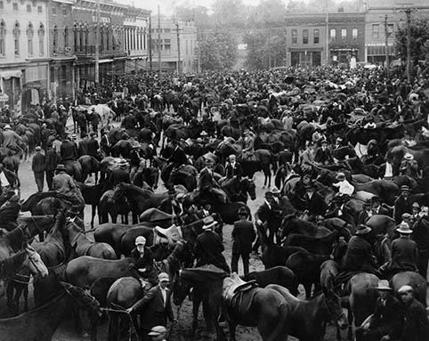 Horses and mules at Court Day on First Street in Richmond